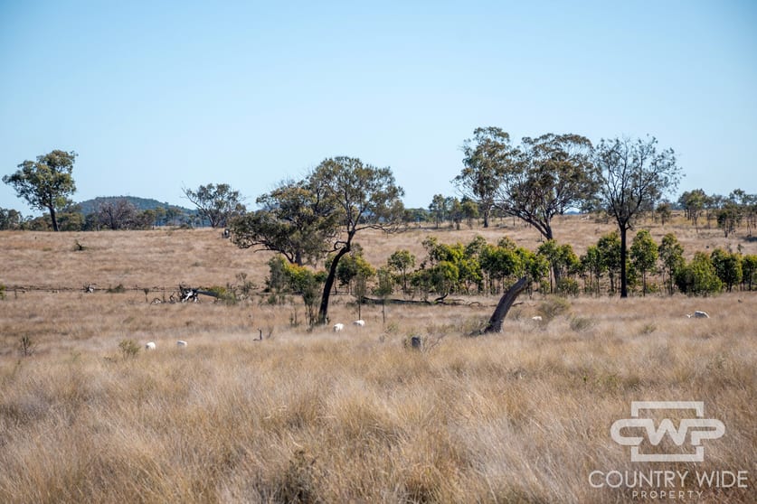 Click to view all images 11, 212 Mole Station Road Tenterfield NSW 2372 - Image 2