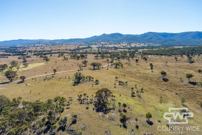 Click to view all images 11, 212 Mole Station Road Tenterfield NSW 2372 - Image 3