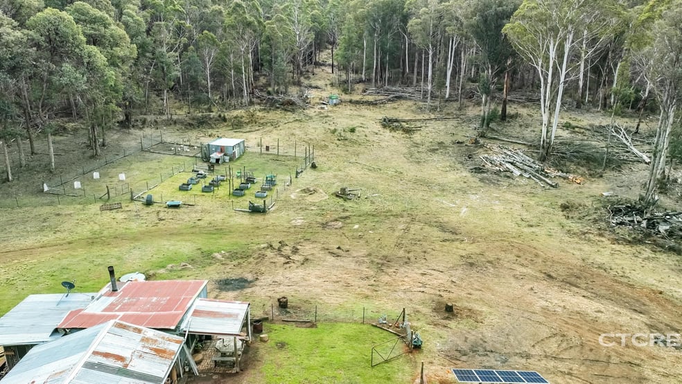 1695 Bendoc-Orbost Road Bendoc VIC 3888 - Image 1
