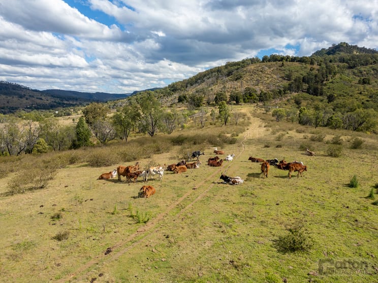 204/ Gatton Clifton Road Fordsdale QLD 4343 - Image 2