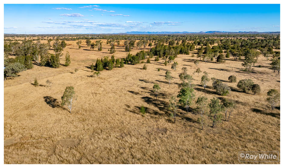 133 Woodford Road Alton Downs QLD 4702 - Image 3