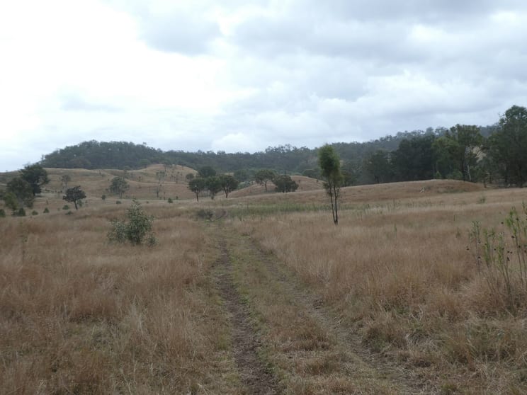 Click to view all images 4 Lots/NRN Monto Mount Perry Road Mungy QLD 4671 - Image 3