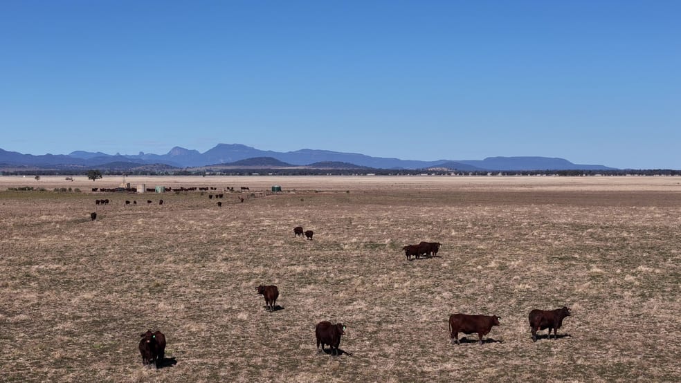 Click to view all images Kalang Vatua Lane Coonamble NSW 2829 - Image 3