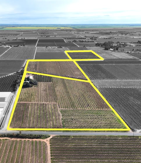 419 North South Road Woorinen North VIC 3589 - Image 2