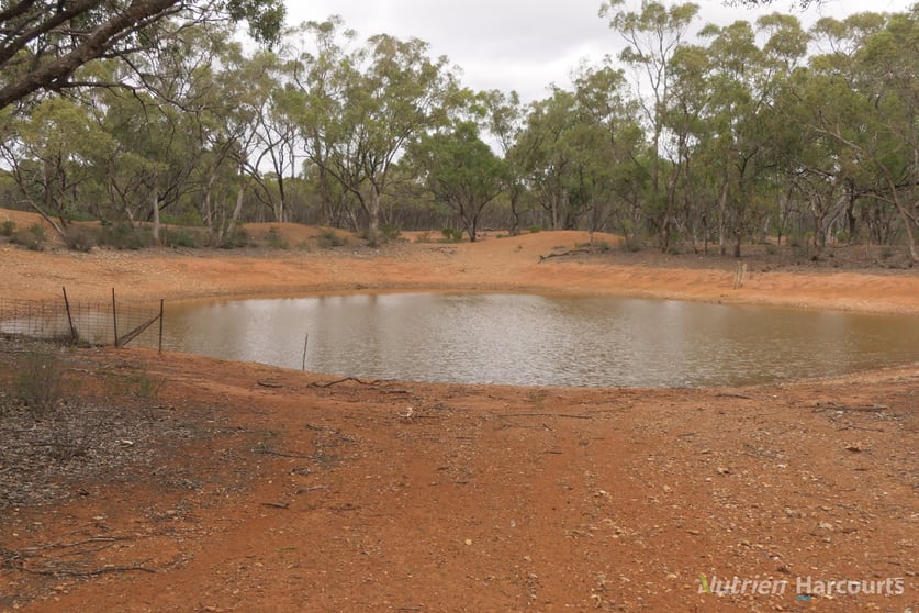 * YARRANVALE Nymagee NSW 2831 - Image 1
