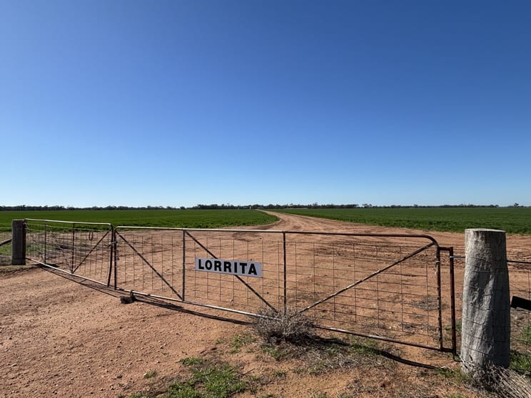 Click to view all images Cleary Road Sea Lake VIC 3533 - Image 1