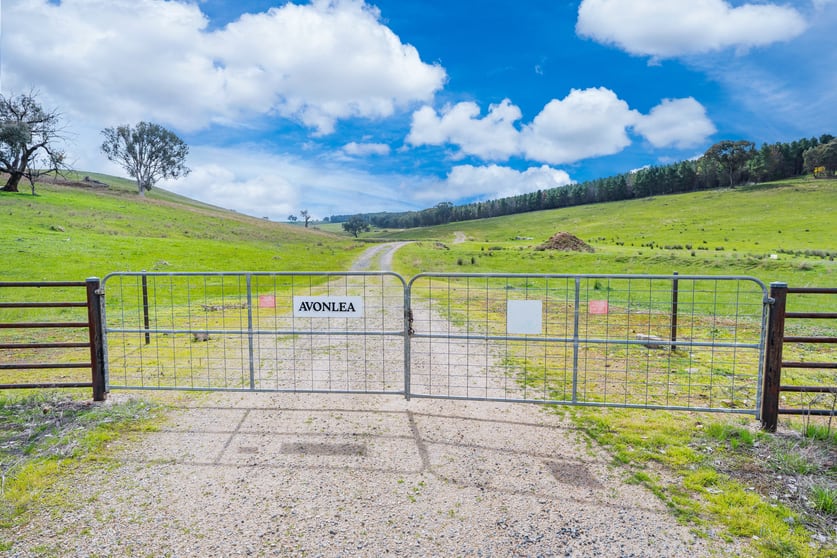 1510 Culcairn Holbrook Road Morven NSW 2660 - Image 2