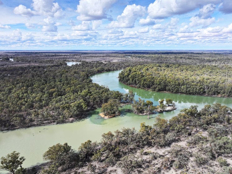 Lots 73 & 5265 Via Renmark Road Wentworth NSW 2648 - Image 3