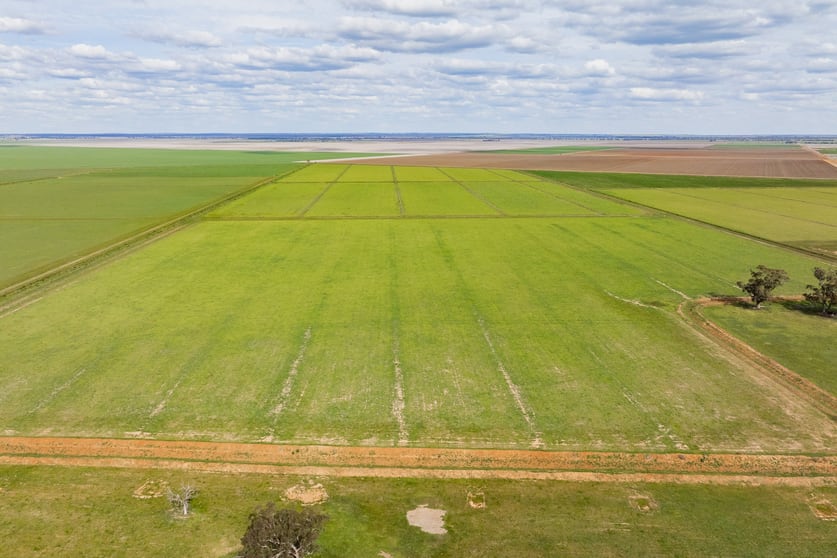 10755 Sturt Highway Narrandera NSW 2700 - Image 3