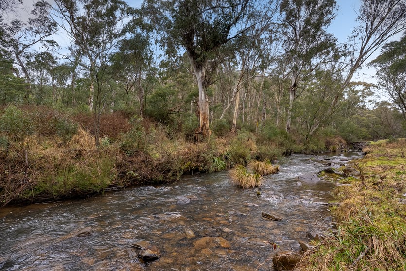 Click to view all images 1697 Duckmaloi Road Hampton NSW 2790 - Image 3