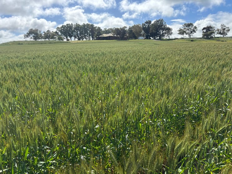 Click to view all images 1396 Tabletop Road Mount Horner WA 6525 - Image 3