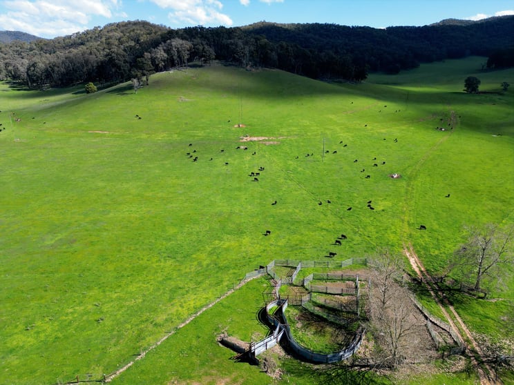 'Eastmore' 1177 Callaghan Creek Road Mitta Mitta VIC 3701 - Image 1