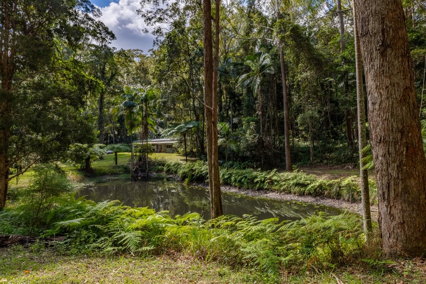 Click to view all images 200 Flaxton Mill Road Flaxton QLD 4560 - Image 2