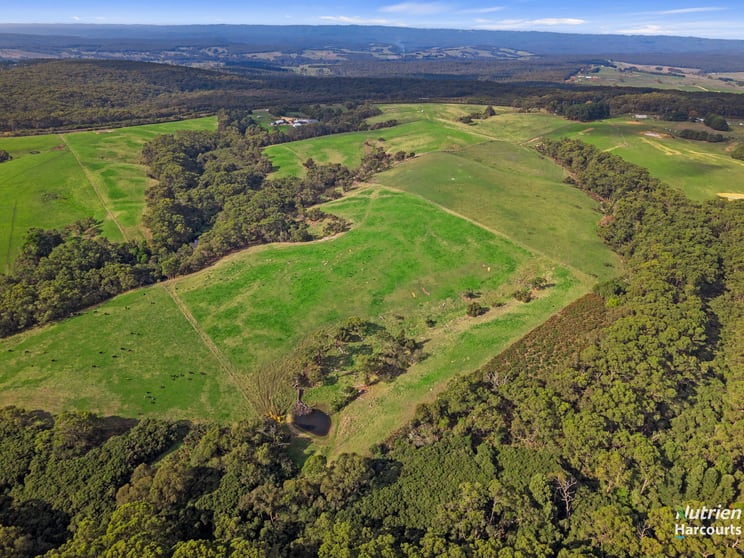 Click to view all images Lot 2/1432 Princetown Road Cooriemungle VIC 3268 - Image 2