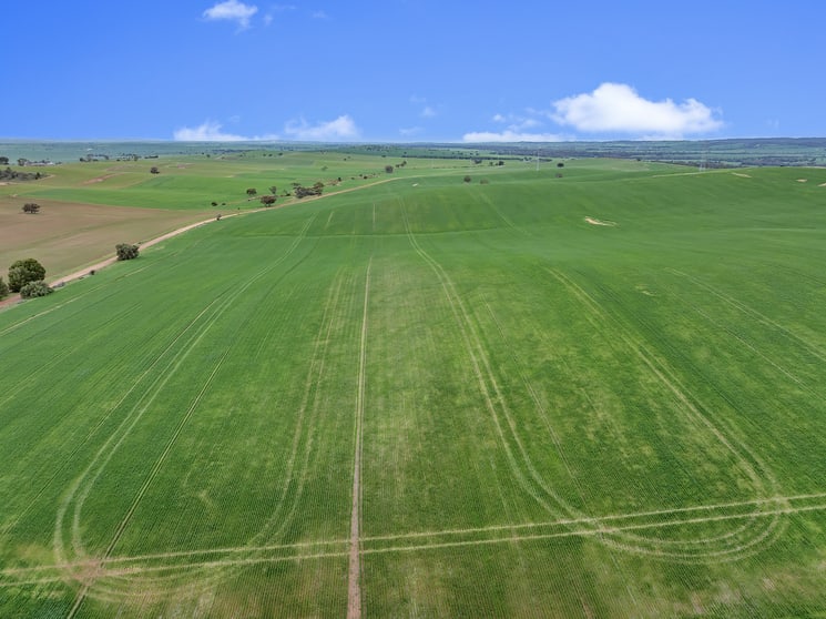 Click to view all images 'Stone Hut' Halls Road Wirrabara SA 5481 - Image 3