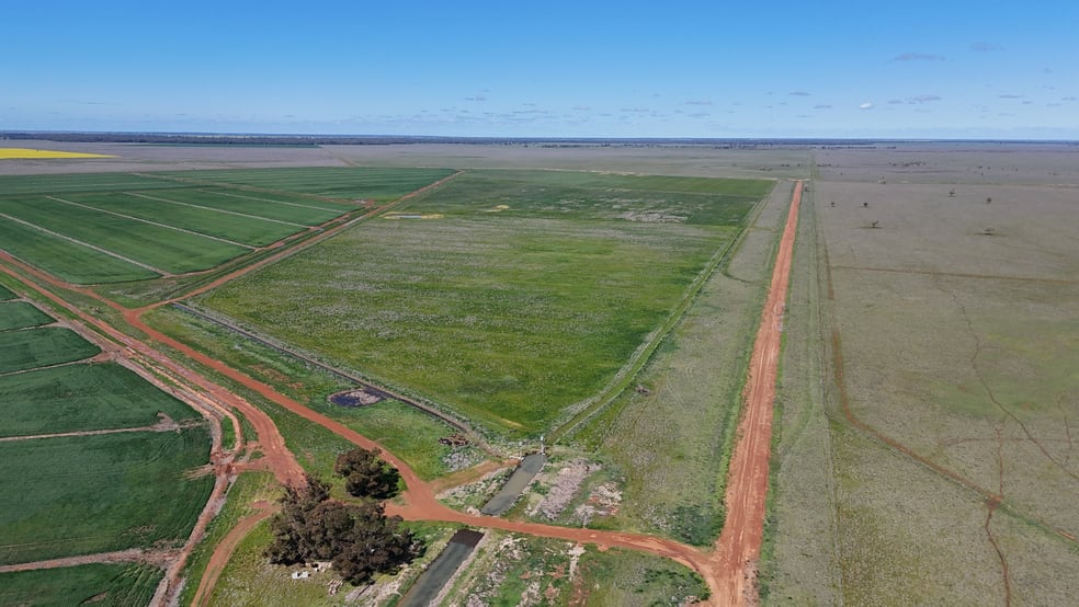 Click to view all images 75 Leonard Road Coleambally NSW 2707 - Image 3