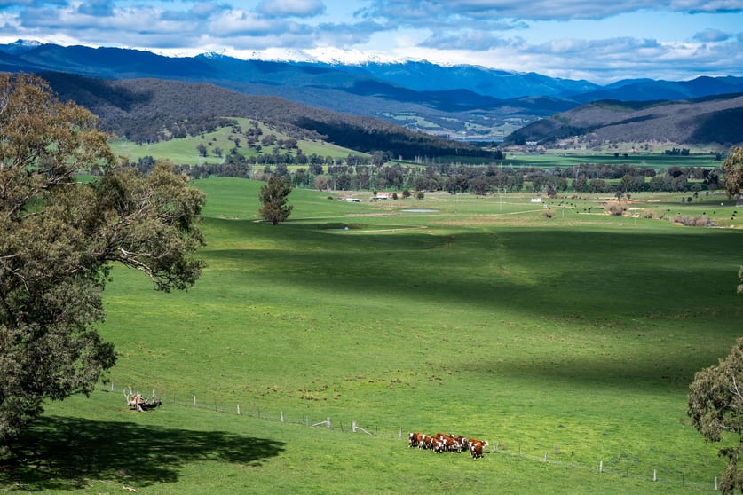 175 Oak Hill Road Bringenbrong NSW 3707 - Image 3