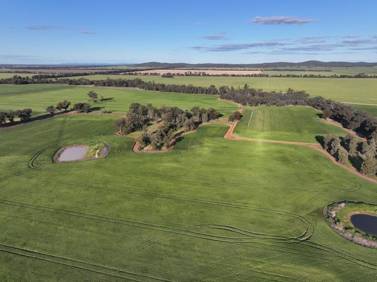 Click to view all images Part Westbury Goldfields Way Barmedman NSW 2668 - Image 2