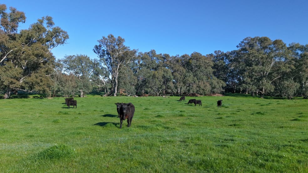 40 Crosses Road Indigo Valley VIC 3688 - Image 3