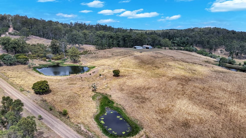 1675 Svenssons Road Promisedland QLD 4660 - Image 3