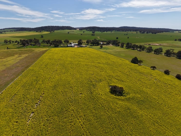 133 Allen Road Greenhills WA 6302 - Image 2