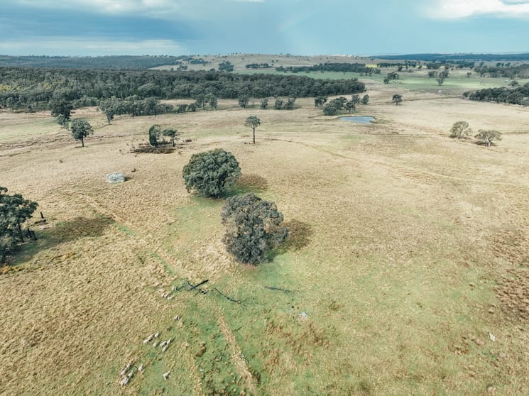 13999 Golden Hwy Dunedoo NSW 2844 - Image 2