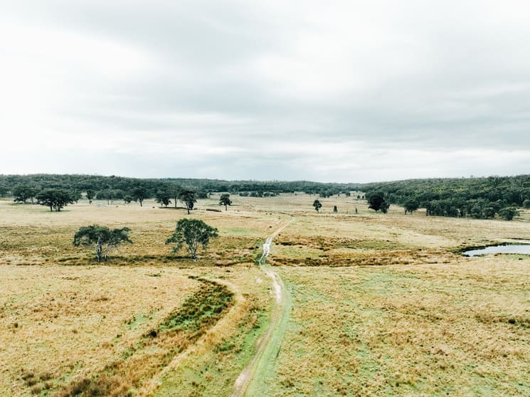 13999 Golden Hwy Dunedoo NSW 2844 - Image 3