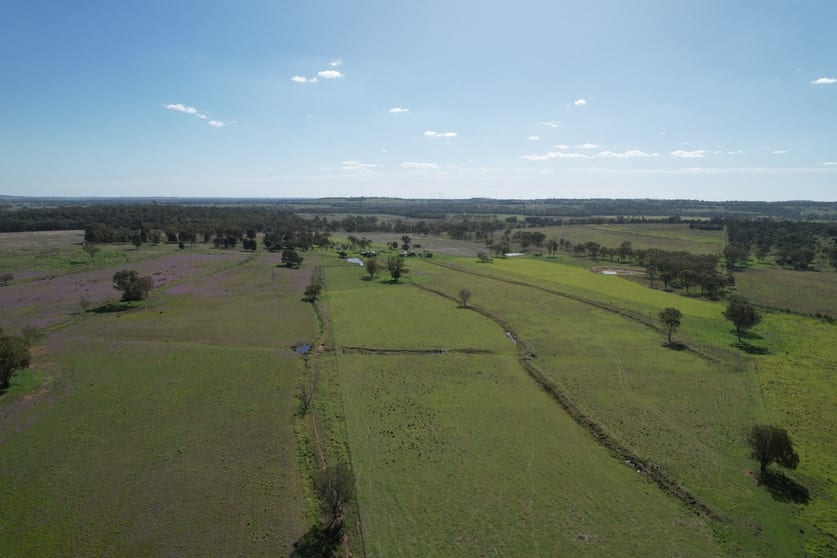 Click to view all images 622 Old Rosemount Road Quinalow QLD 4403 - Image 2
