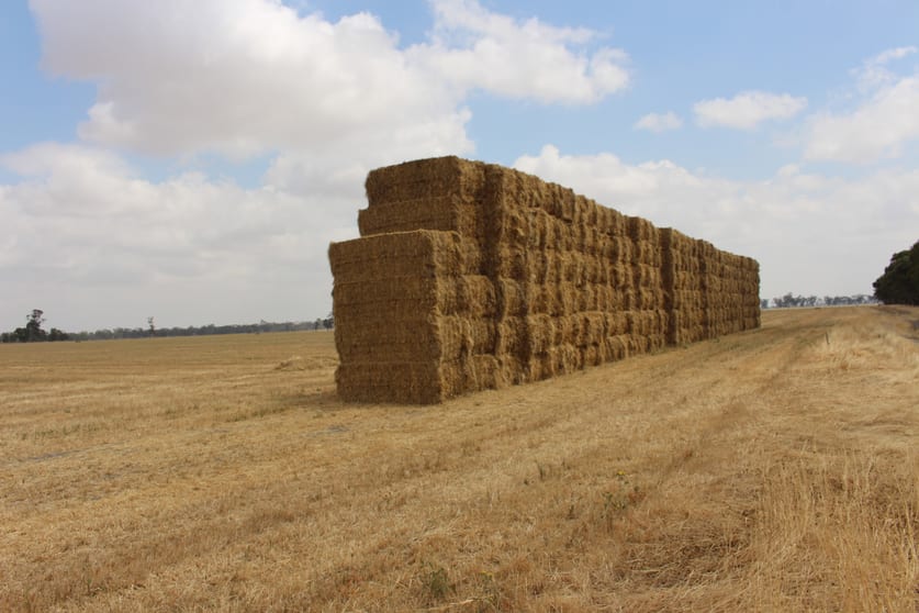 1427 Naracoorte Road Bordertown SA 5268 - Image 3
