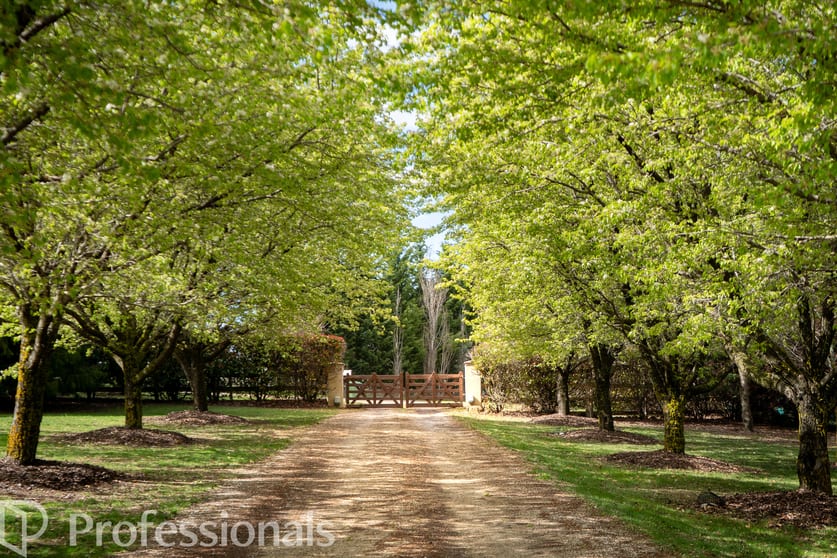 Click to view all images 131 Nashdale Lane Orange NSW 2800 - Image 2
