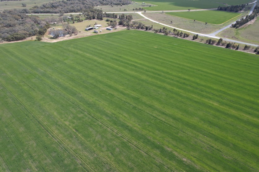 6689 Mid Western Highway Caragabal NSW 2810 - Image 1