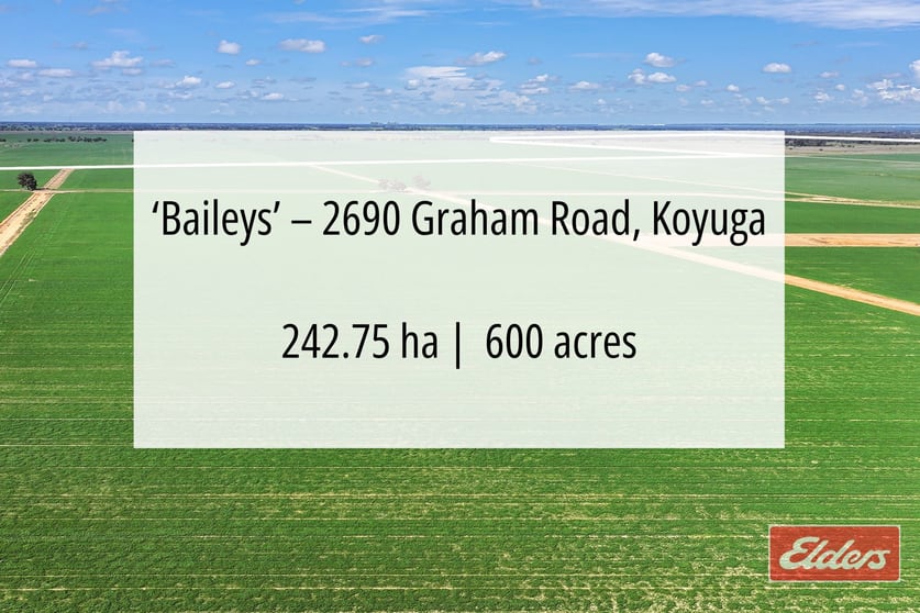Graham Road Koyuga VIC 3622 - Image 2