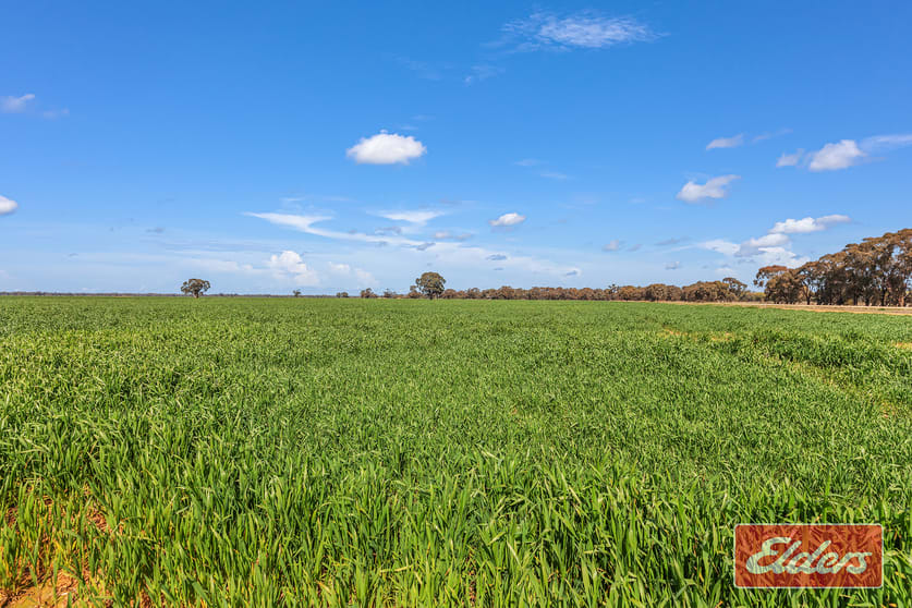 Graham Road Koyuga VIC 3622 - Image 3