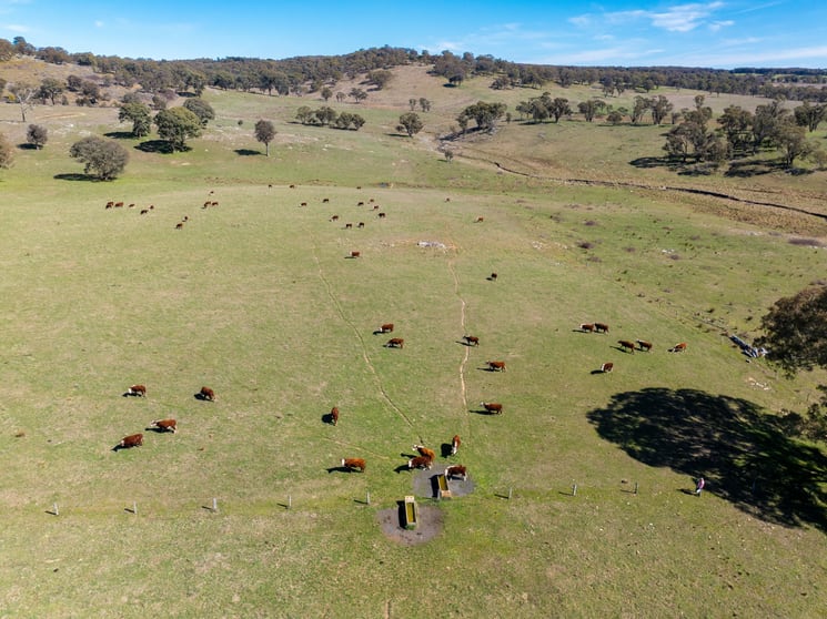 5353 Trunkey Road Trunkey Creek NSW 2795 - Image 1