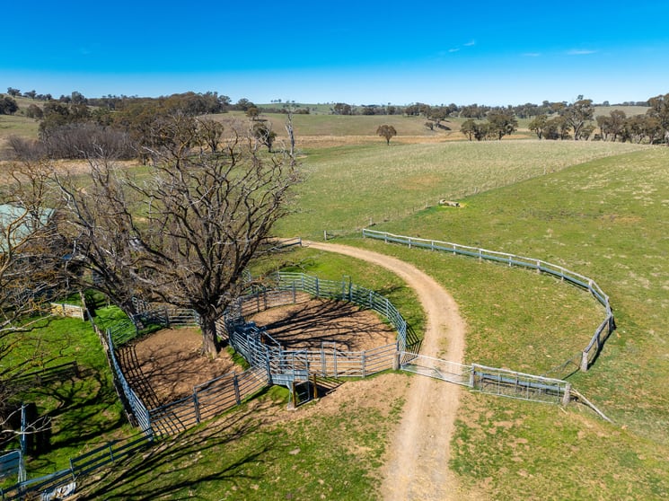 5353 Trunkey Road Trunkey Creek NSW 2795 - Image 3