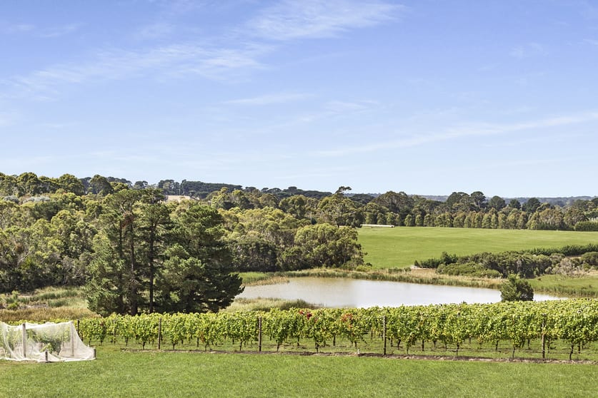 Click to view all images 26 Merricks Road Merricks VIC 3916 - Image 3