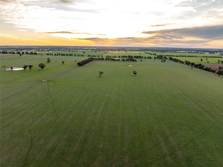 Weir Road Galore NSW 2650 - Image 1