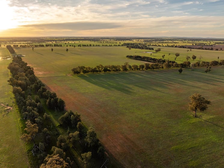 Weir Road Galore NSW 2650 - Image 2