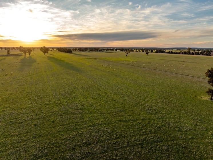 Weir Road Galore NSW 2650 - Image 3