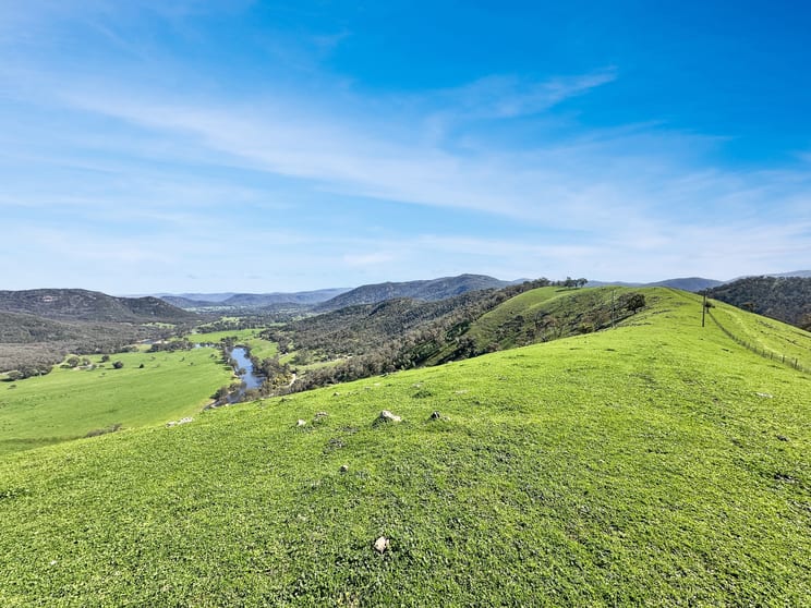 Click to view all images 5114 River Road Jingellic NSW 2642 - Image 1