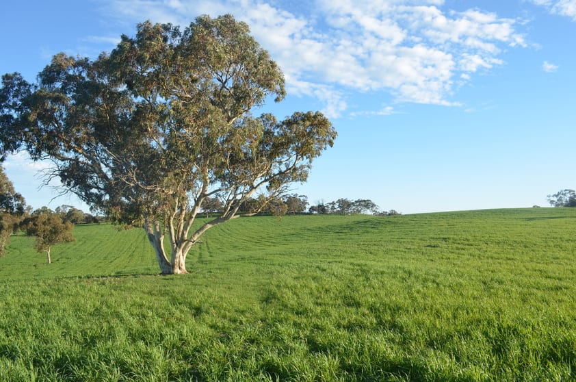Lot 296 Beggs Road Avenue Range SA 5273 - Image 1