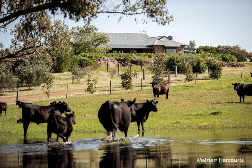 Lot 407 Telegraph Road Monjingup WA 6450 - Image 1
