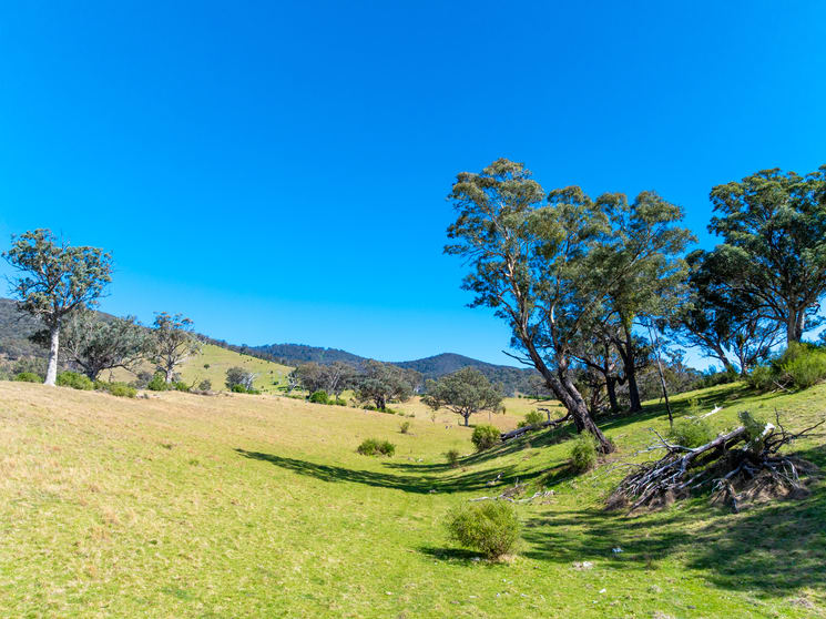 1139 Ensay-Doctors Flat Road Ensay VIC 3895 - Image 3
