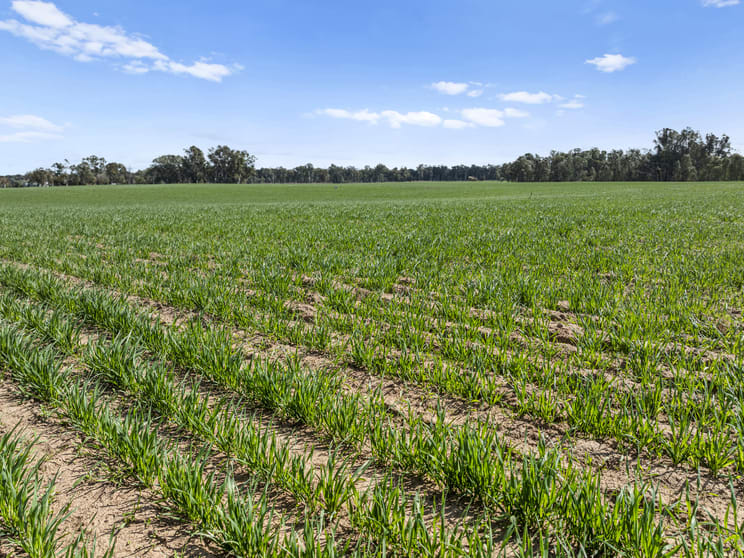 60 Pogue Road Toolamba VIC 3614 - Image 3