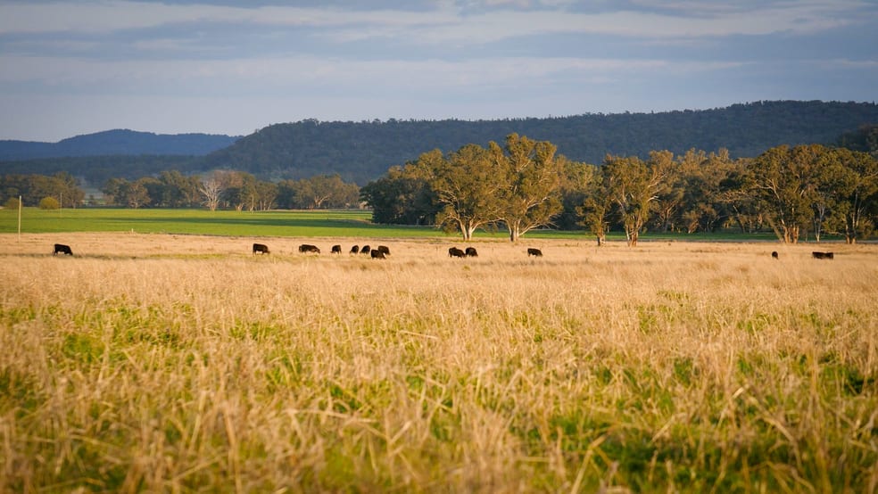 1559 Digilah Road Dunedoo NSW 2844 - Image 1