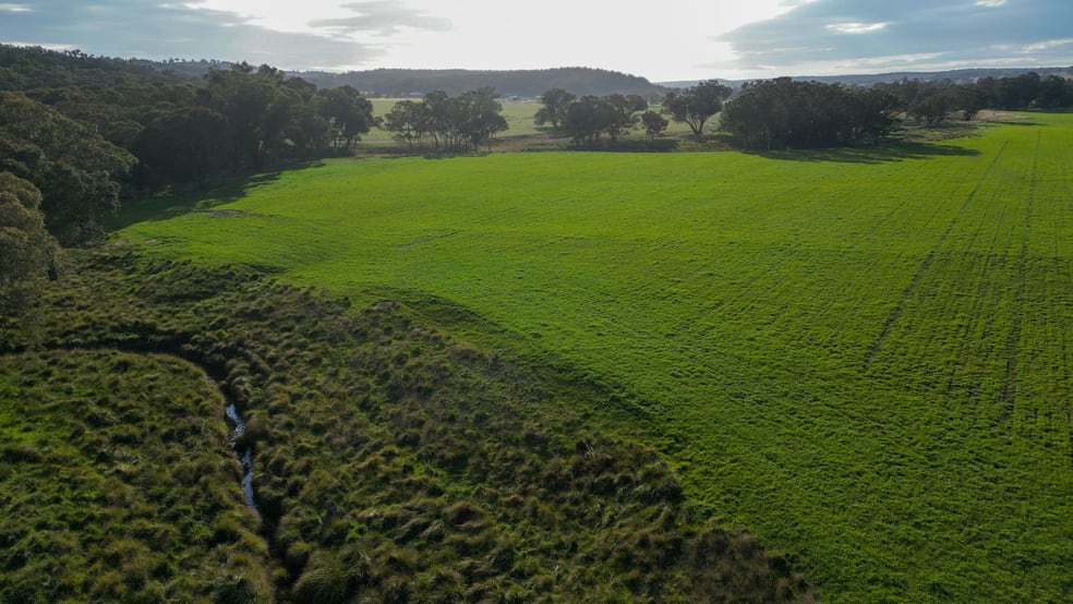 1559 Digilah Road Dunedoo NSW 2844 - Image 2