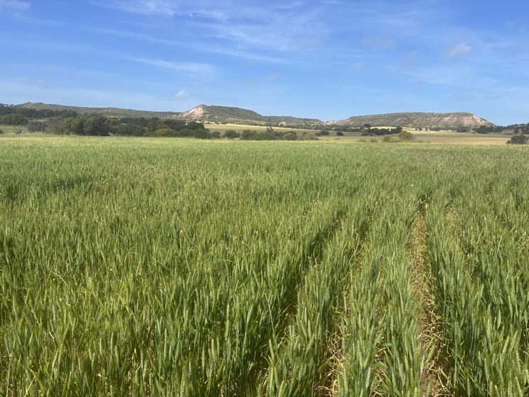 Lot 72 Oakajee Road Howatharra WA 6532 - Image 1