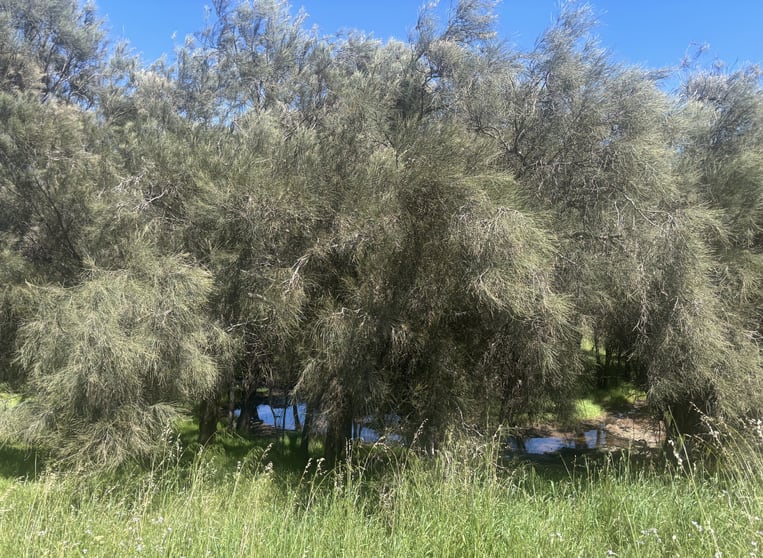 Lot 72 Oakajee Road Howatharra WA 6532 - Image 2