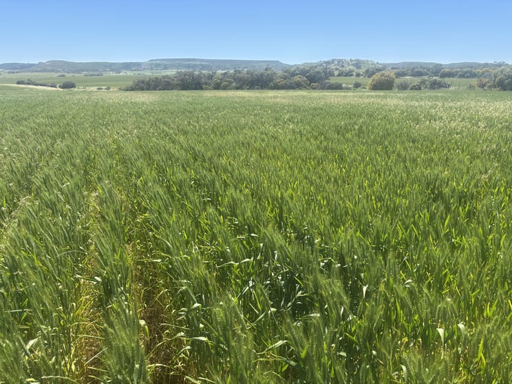 Lot 72 Oakajee Road Howatharra WA 6532 - Image 3