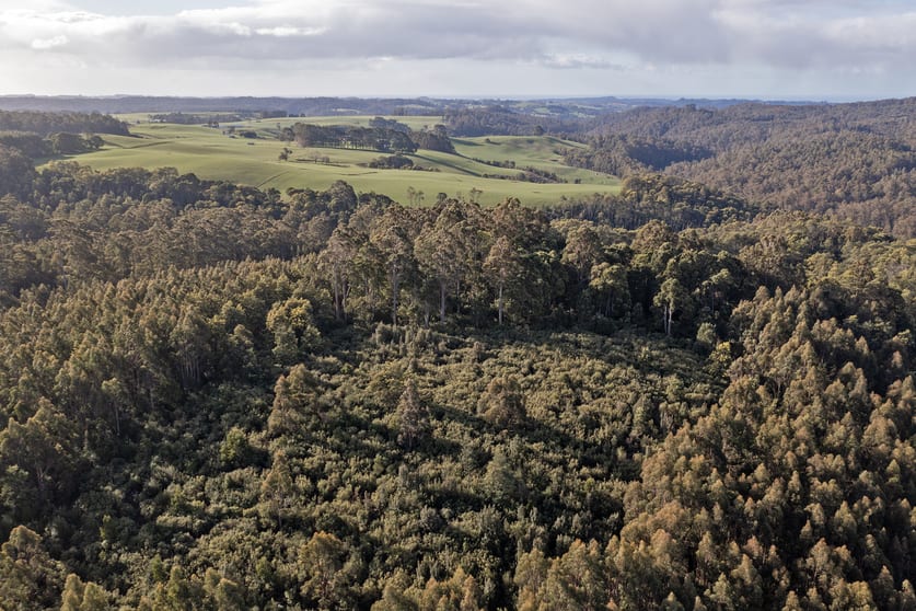 PID 6191426 South Riana Road Upper Natone TAS 7321 - Image 2